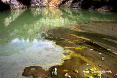 Parc national (Thermal Park) de Wai-O-Tapu, N.-Z. - IMGP0228.JPG