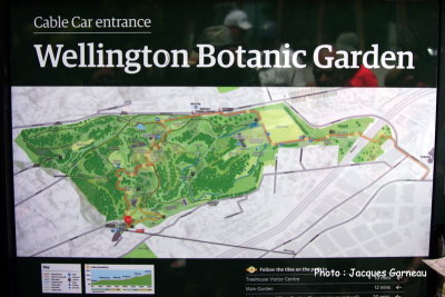 Jardin botanique, Wellington, N.-Z. - IMGP0386.JPG