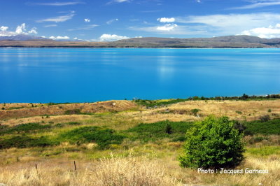 Lac Tekapo, N.-Z. - IMGP0807.JPG