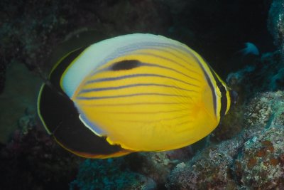 Marsa Alam September 2018