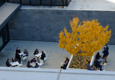 Taken at the SFMoMA