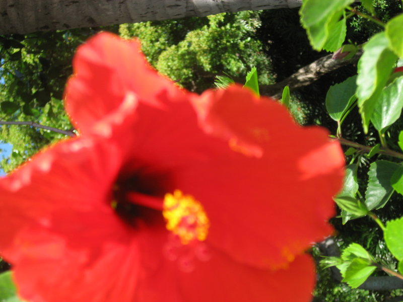IMG_4169.JPG