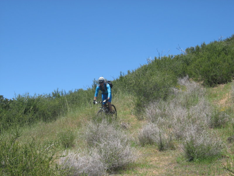 IMG_4204.JPG