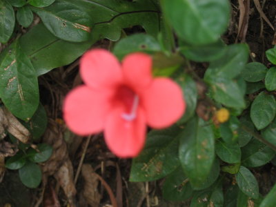 IMG_4151.JPG