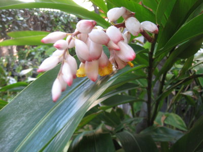 IMG_4165.JPG