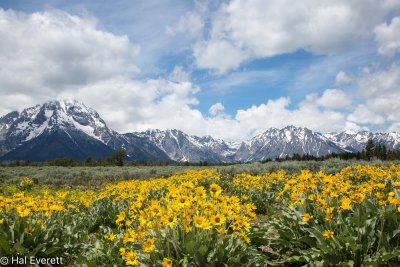 Teton Mountains