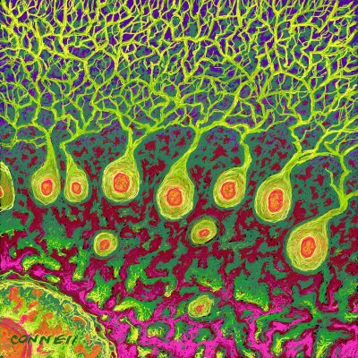 cell abstract 4.jpg