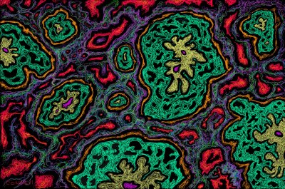 cell abstract 8.jpg