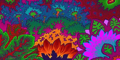 psychedelia garden.jpg