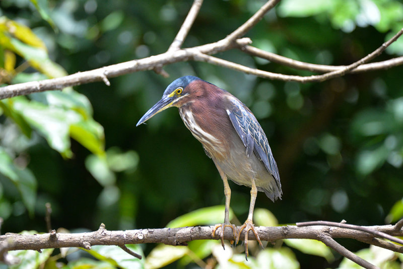 DSC_9899.jpg