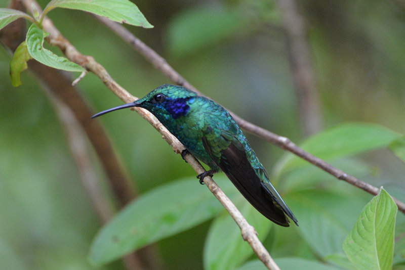 DSC_0818_2.jpg