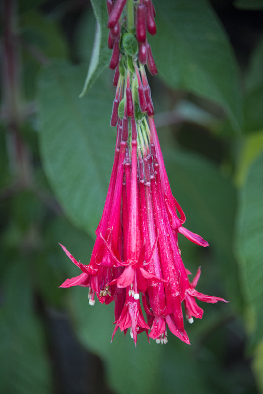 DSC_2248.jpg