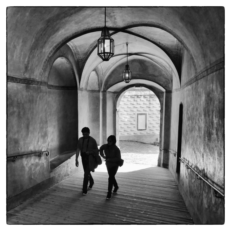 P1020169bw.jpg