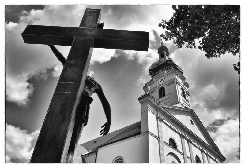 DSC_4030bw.jpg