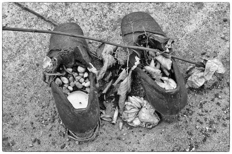 DSC_4504bw.jpg