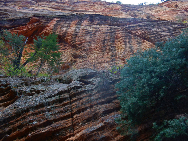 DSCN2393-HiddenCanyonWall.jpg