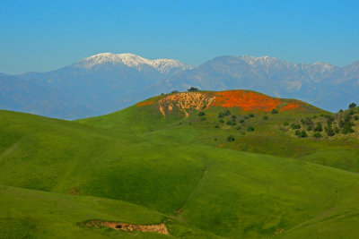 Chino Hills State Park Wildflowers Bike Ride