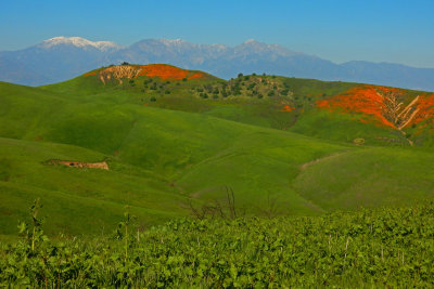 DSCN2029.jpg