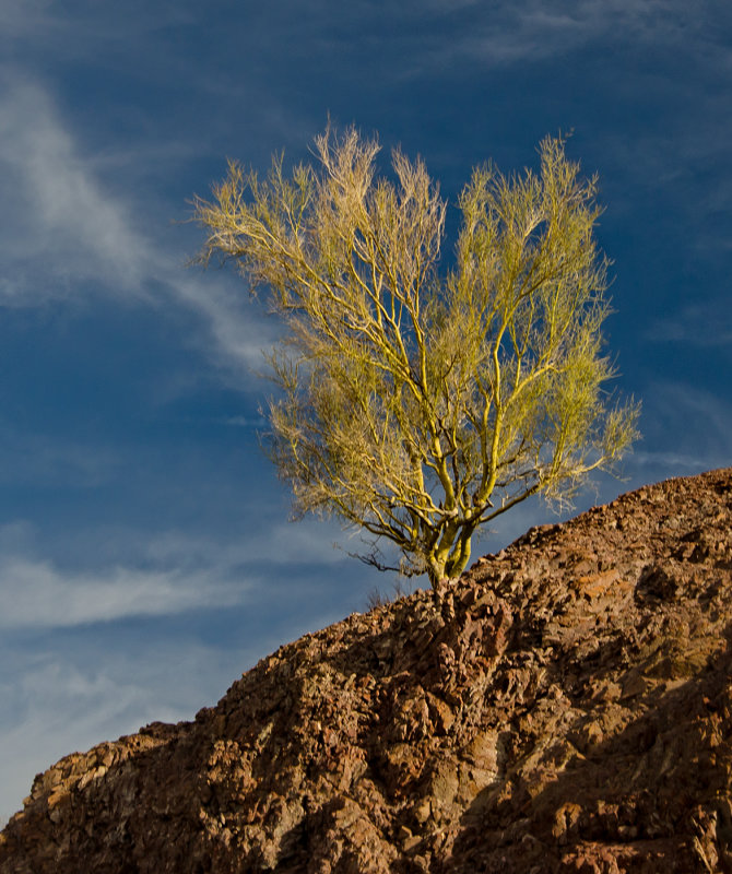 DSC_3190a.jpg
