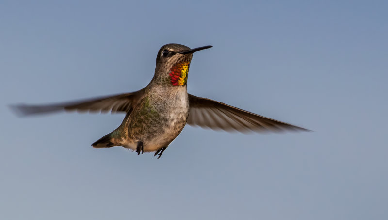 DSC_2946a.jpg
