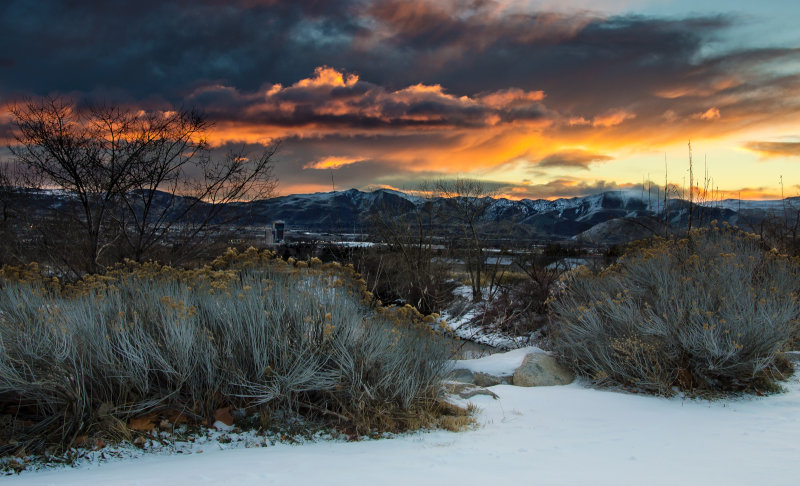 DSC_2518b.jpg