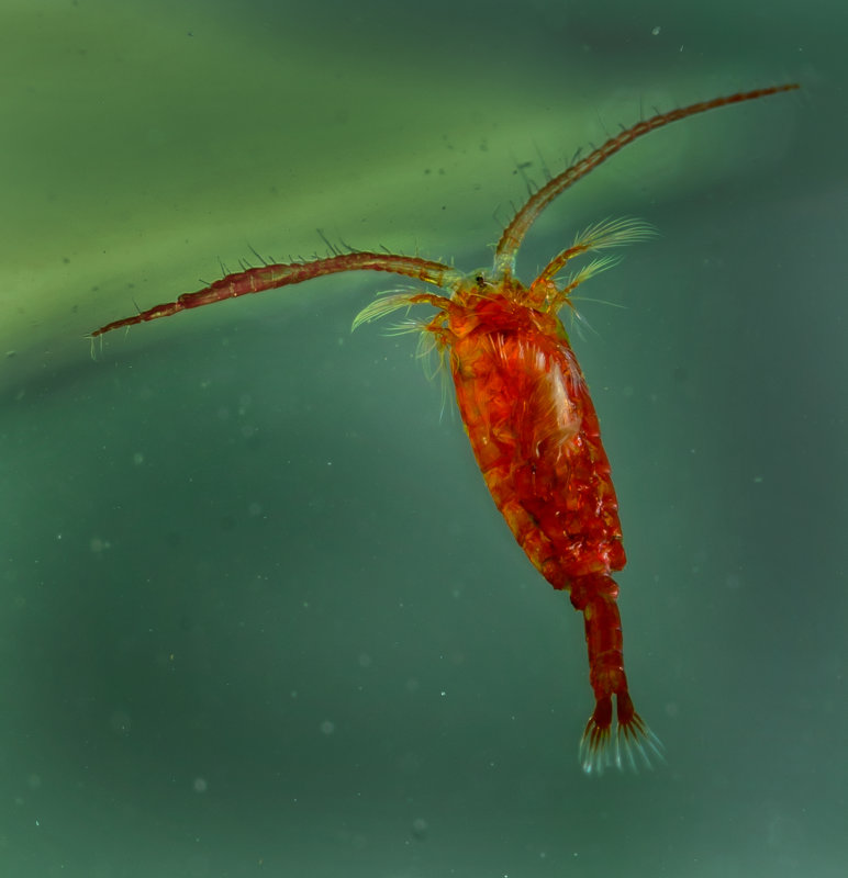 DSC_5430cC.jpg