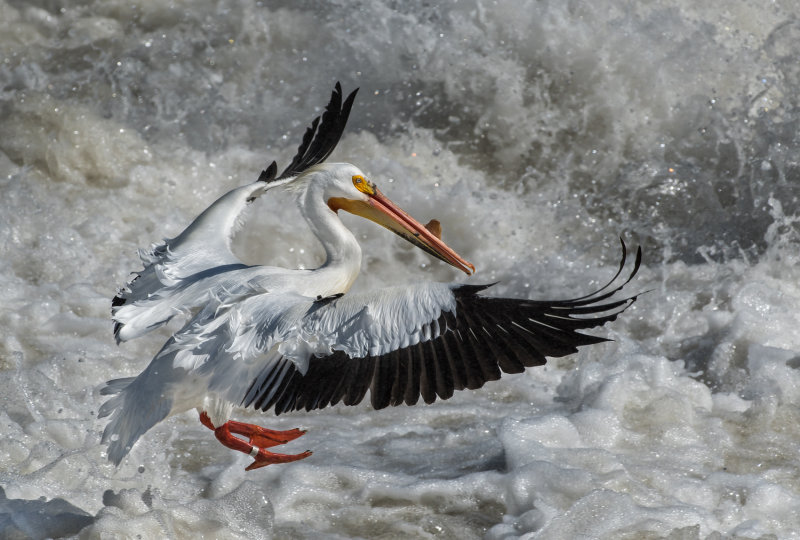 DSC_6327a.jpg