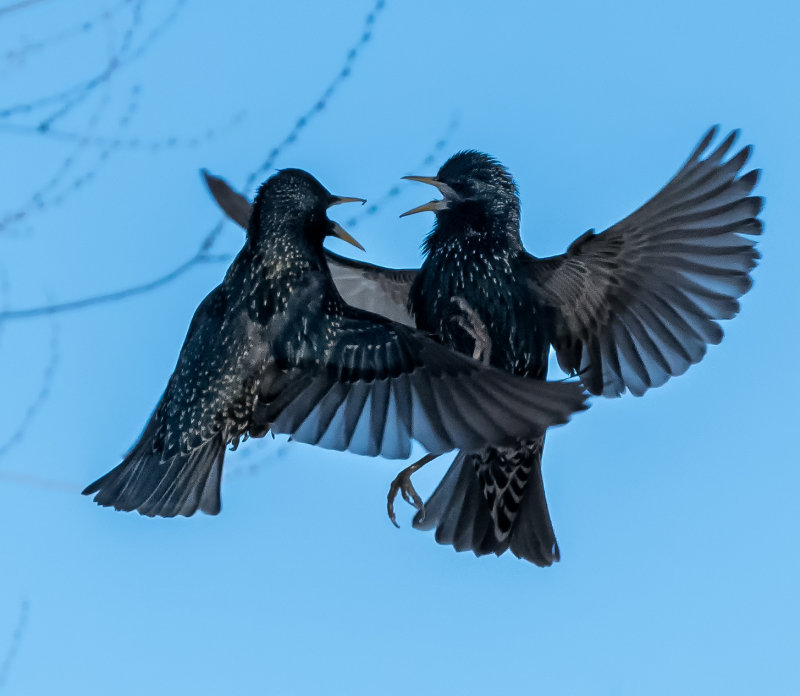 DSC_5766b.jpg