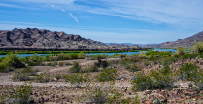 DSC_3208a.jpg