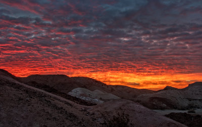 DSC_2549a.jpg