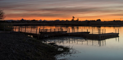 DSC_3329a.jpg