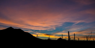 DSC_4674a.jpg
