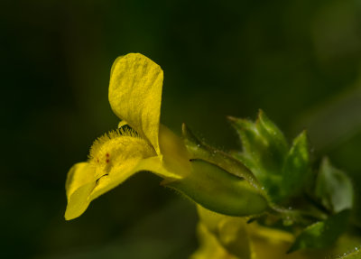 DSC_9643a.jpg