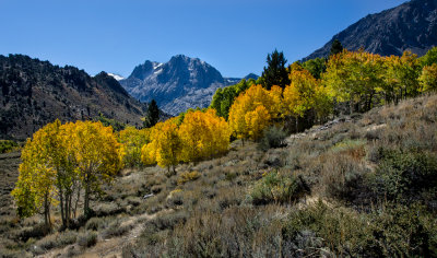 DSC_0723a.jpg