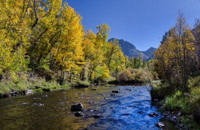 DSC_1546a.jpg