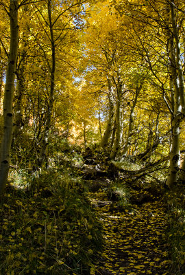 DSC_1744a.jpg