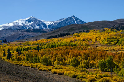 DSC_1912a.jpg