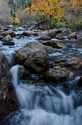 DSC_2001a.jpg
