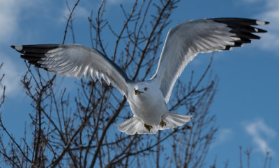DSC_0578a.jpg