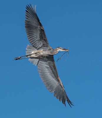 DSC_5835a.jpg