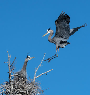 DSC_7849a.jpg