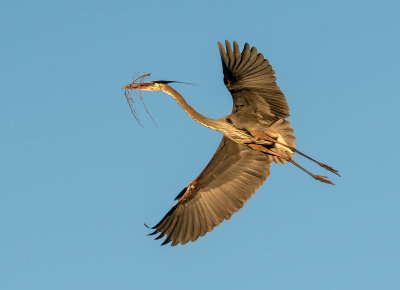 DSC_9001a.jpg