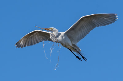 DSC_6983a.jpg