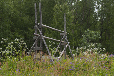 Flowery-meadow - Blomsteräng