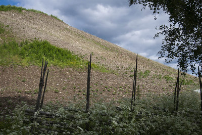 The potato-hill - Potaisbacken