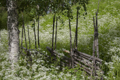 The potato-hill - Potaisbacken