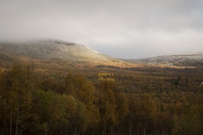 g10/78/1133978/3/166456984.SLDGpau4.jpg