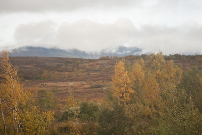 g10/78/1133978/3/166457087.u06rN5NR.jpg