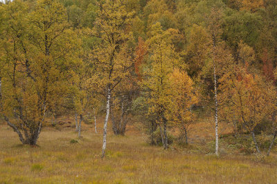 g10/78/1133978/3/166457101.kma8dWhS.jpg