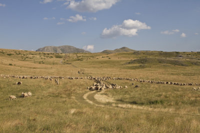 macedonia